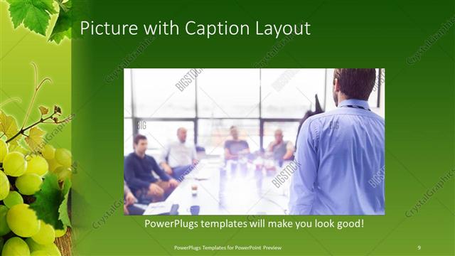 Picture with Caption presentation slide layout