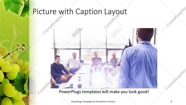 Picture with Caption presentation slide layout
