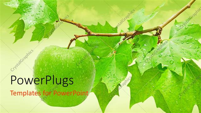  Presentation with green tree - Fresh green apple hanging from a tree with dew on it