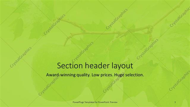 Section Header presentation slide layout