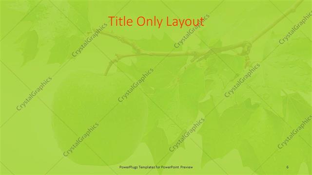 Title Only presentation slide layout