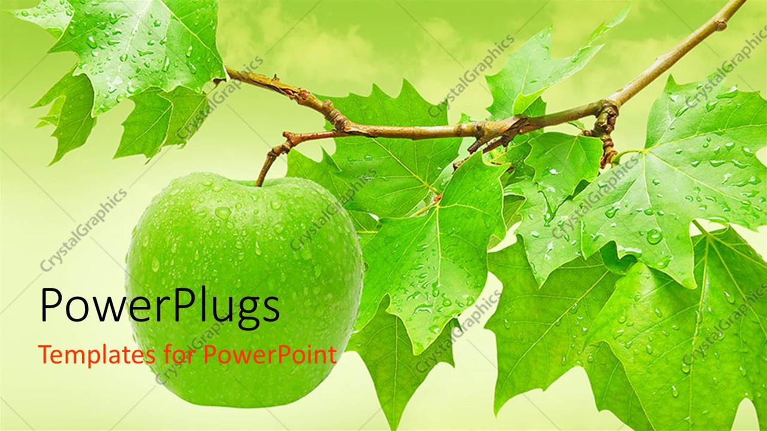 Premium Template for PowerPoint & Google Slides 