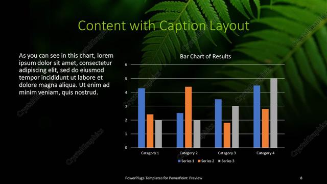 Content with Caption presentation slide layout