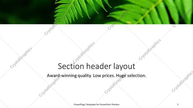 Section Header presentation slide layout