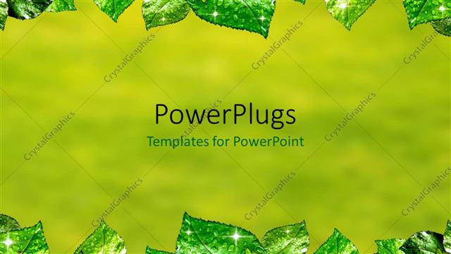  Presentation with green foliage - Fresh green leaves with water drops on blurry background?