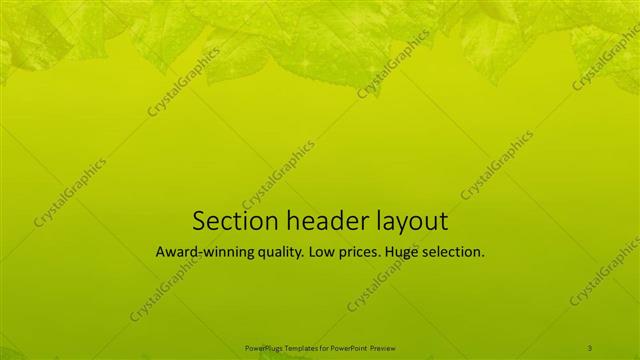 Section Header presentation slide layout