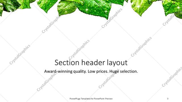 Section Header presentation slide layout