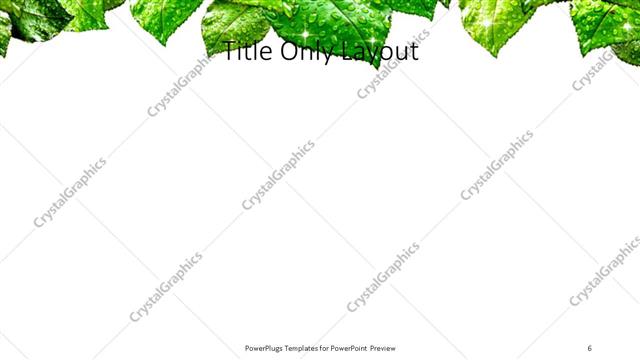 Title Only presentation slide layout