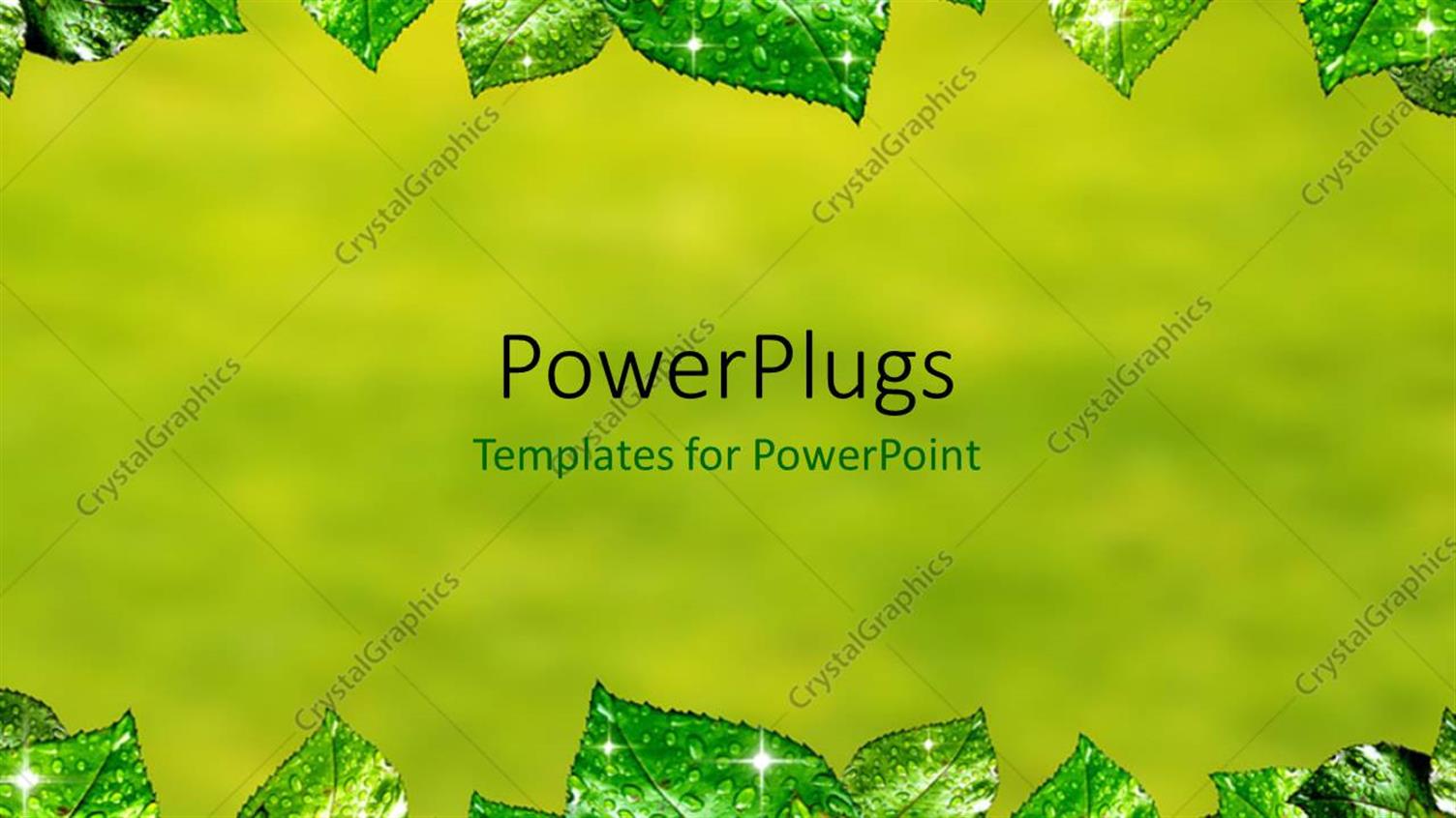 Premium Template for PowerPoint & Google Slides 