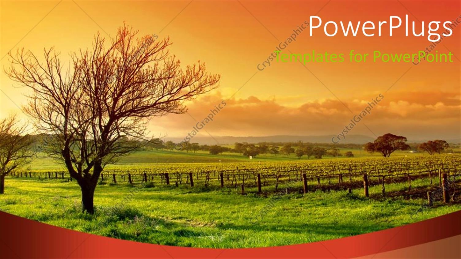 Premium Template for PowerPoint & Google Slides 