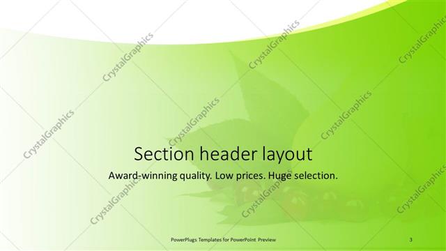 Section Header presentation slide layout