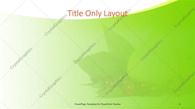 Title Only presentation slide layout
