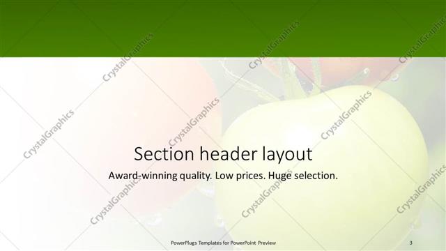 Section Header presentation slide layout