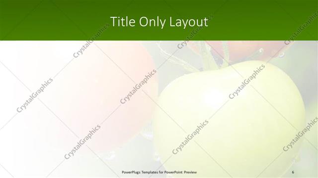 Title Only presentation slide layout