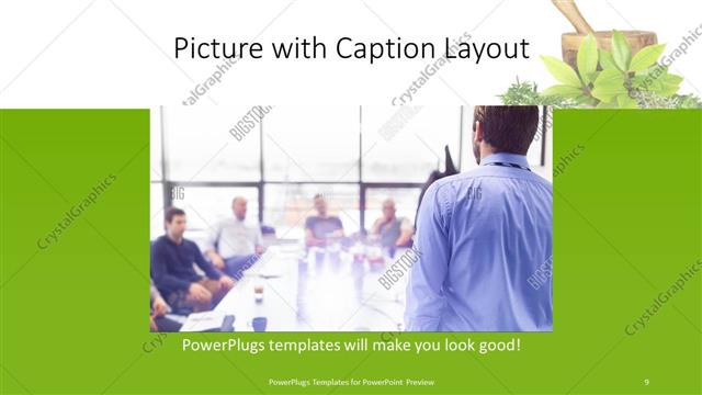 Picture with Caption presentation slide layout