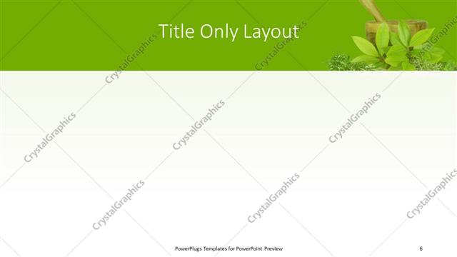 Title Only presentation slide layout