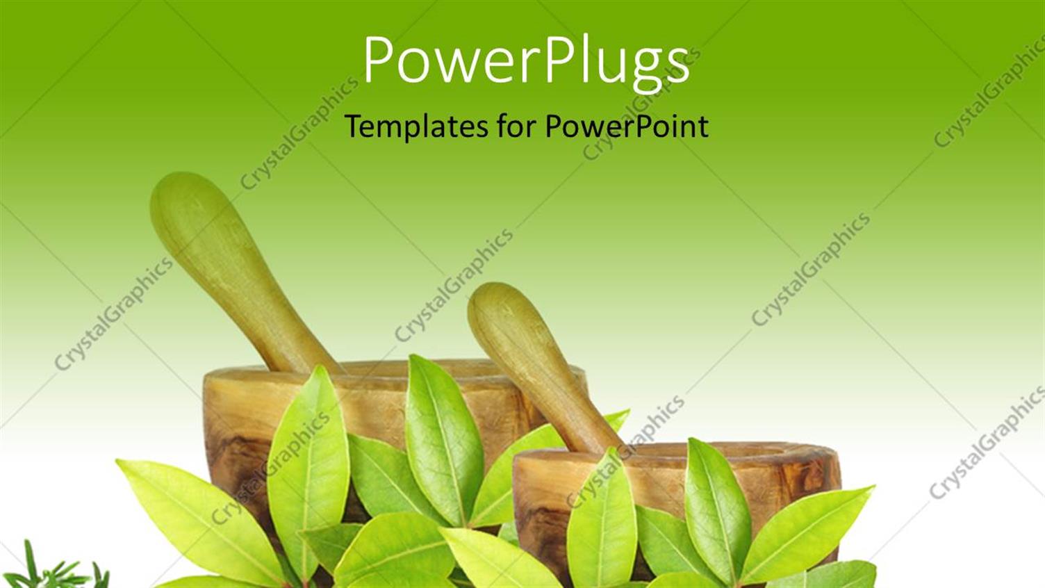 Premium Template for PowerPoint & Google Slides 