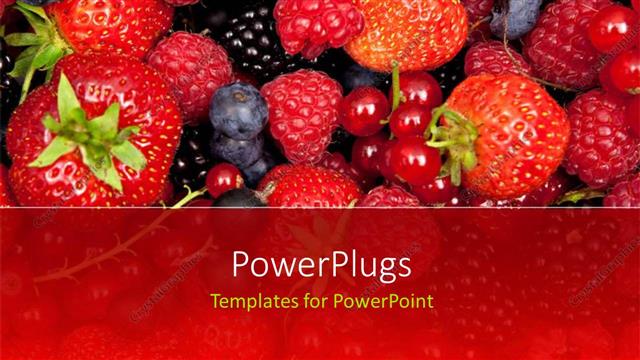  Presentation with vine - Fresh mix of fruits, strawberries and vine fruit