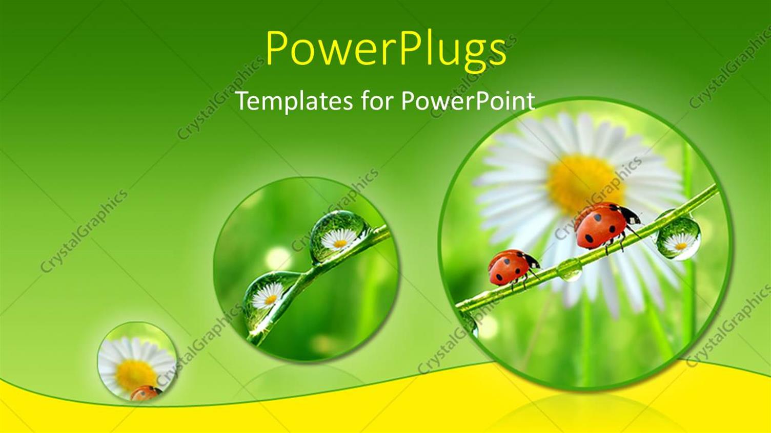 Premium Template for PowerPoint & Google Slides 