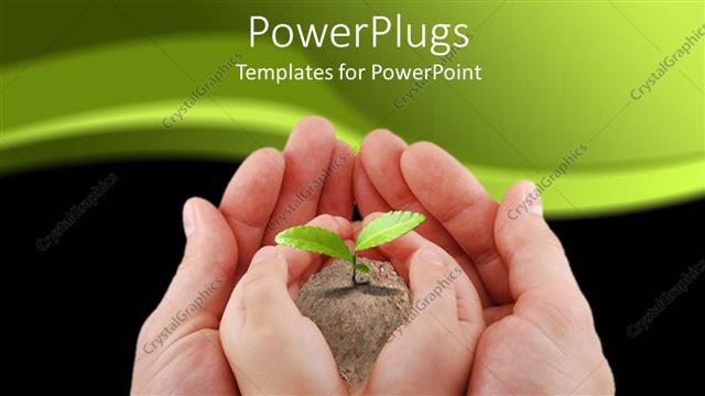  Presentation with new life baby plant - Fresh plant in earth from baby's hand on man's hand