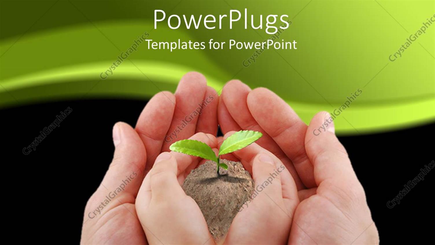 Featuring Fresh Plant in Earth from Babys Hand on Mans Hand