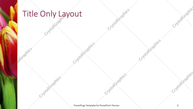 Title Only presentation slide layout