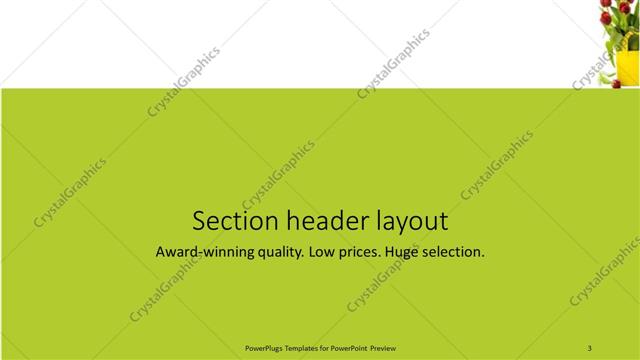 Section Header presentation slide layout