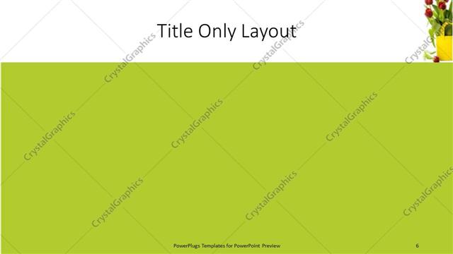 Title Only presentation slide layout