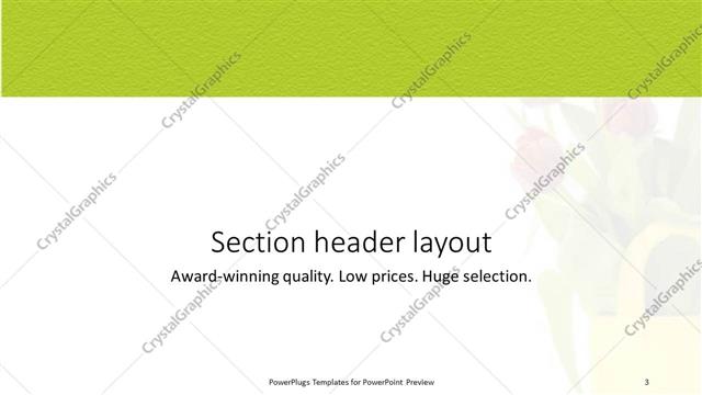 Section Header presentation slide layout