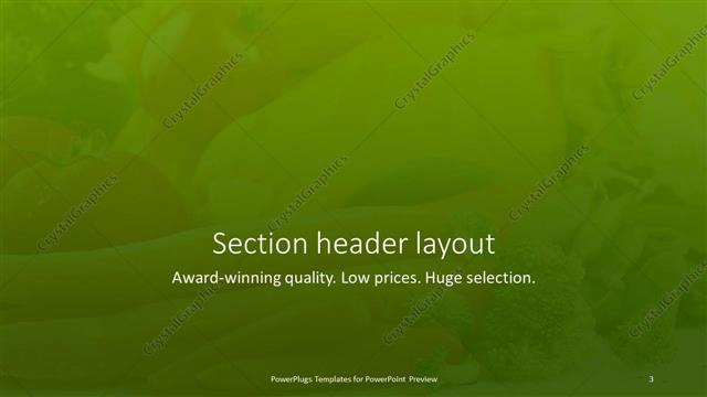 Section Header presentation slide layout