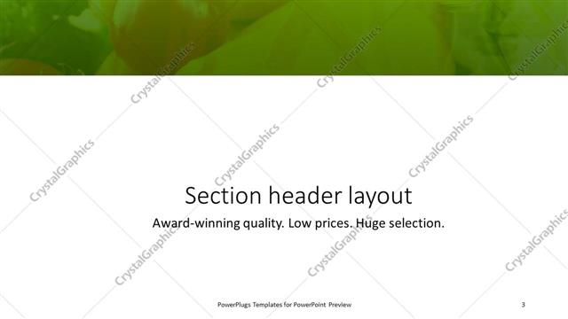 Section Header presentation slide layout