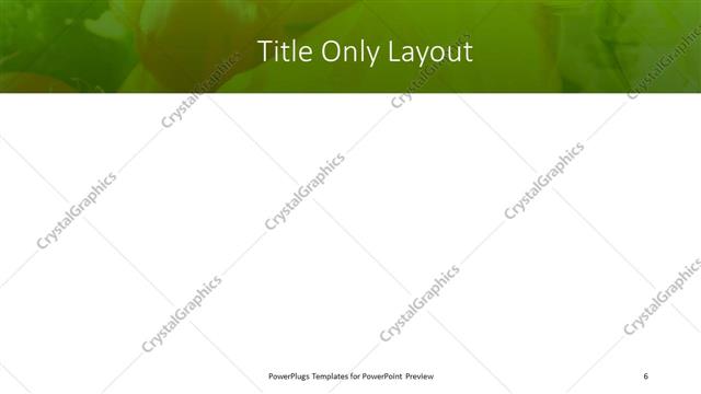 Title Only presentation slide layout