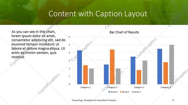 Content with Caption presentation slide layout