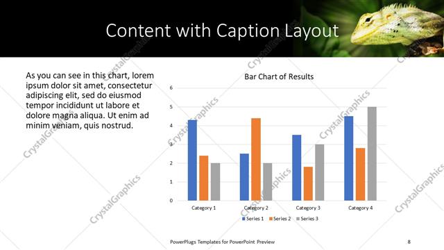 Content with Caption presentation slide layout