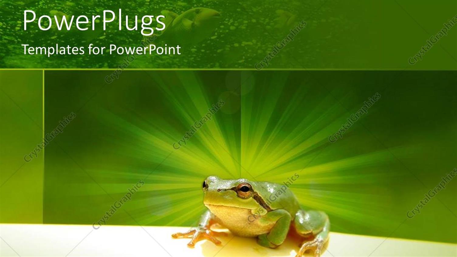 Premium Template for PowerPoint & Google Slides 