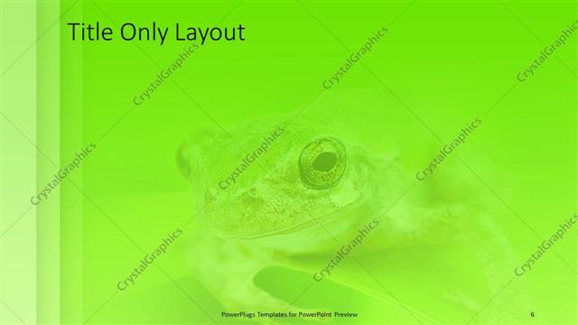 Title Only presentation slide layout