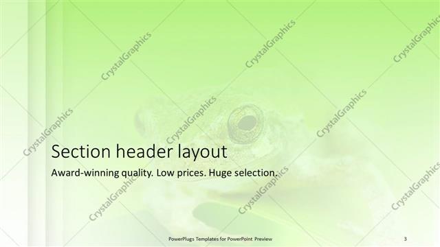 Section Header presentation slide layout