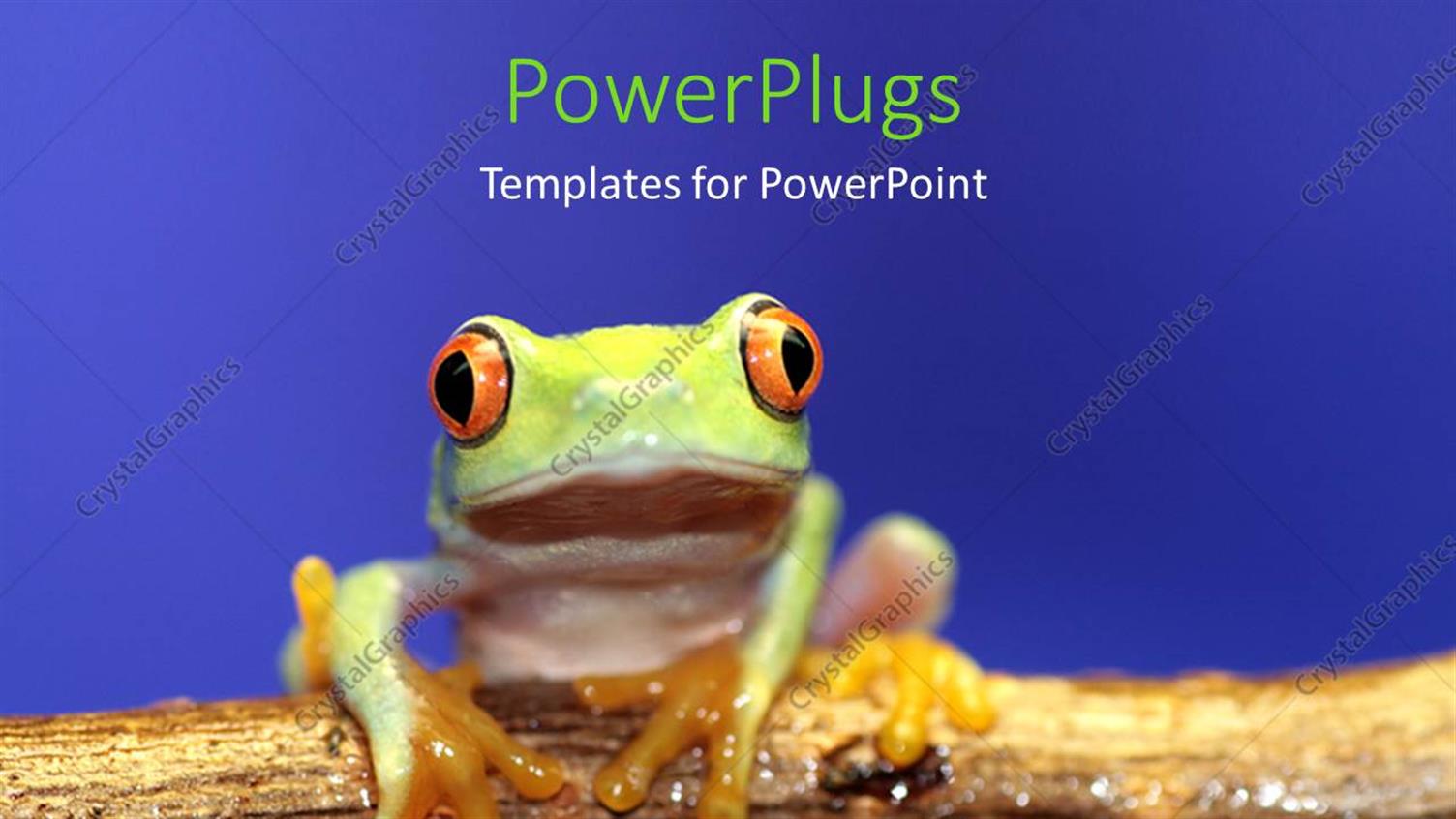 Premium Template for PowerPoint & Google Slides 