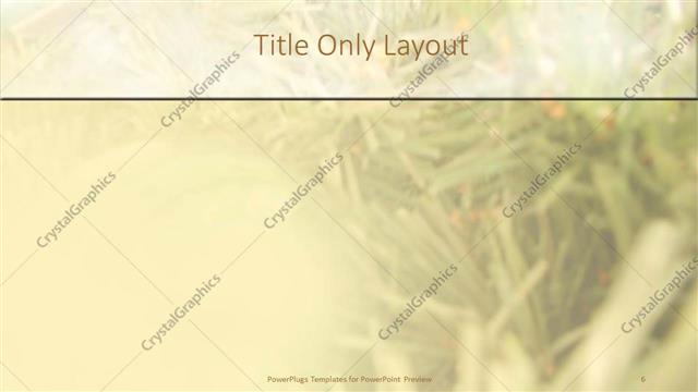 Title Only presentation slide layout