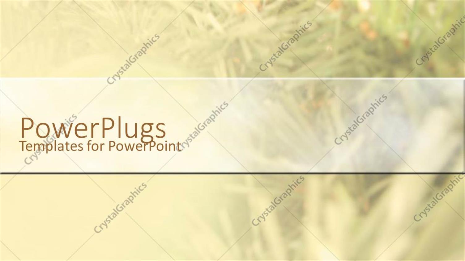 Premium Template for PowerPoint & Google Slides 