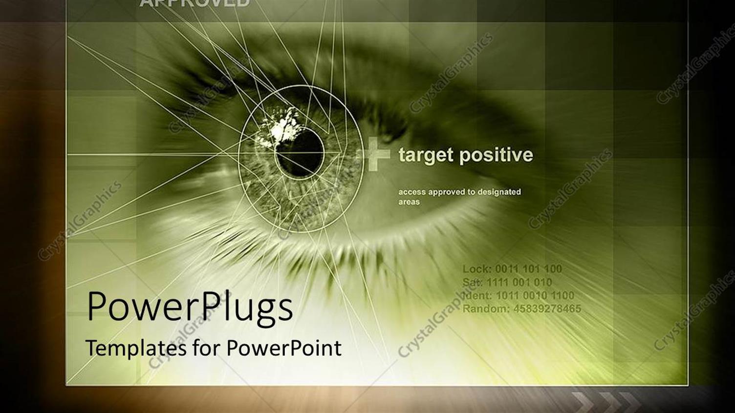 Premium Template for PowerPoint & Google Slides 