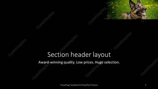 Section Header presentation slide layout