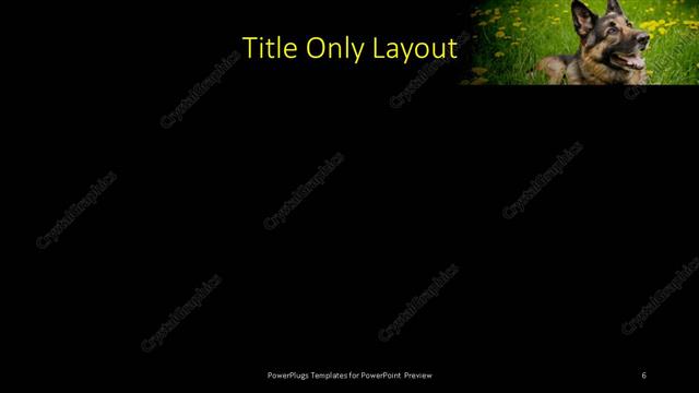 Title Only presentation slide layout