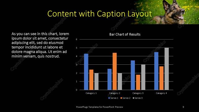 Content with Caption presentation slide layout