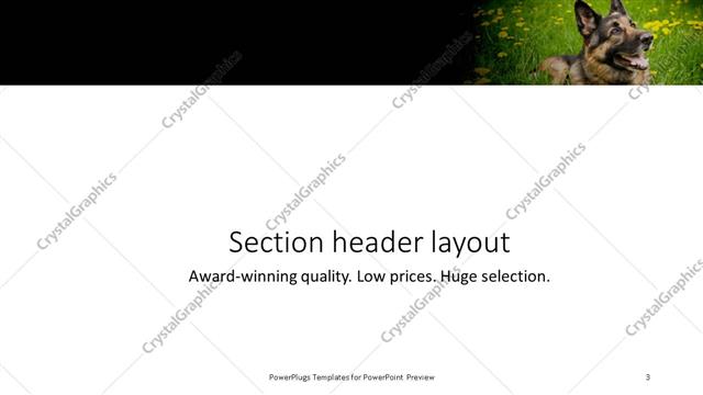 Section Header presentation slide layout