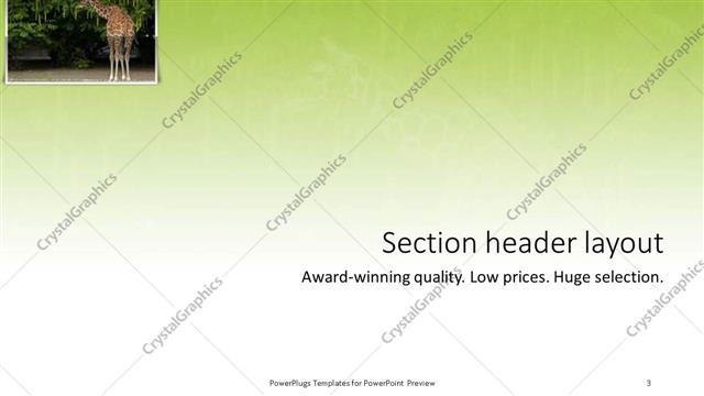 Section Header presentation slide layout