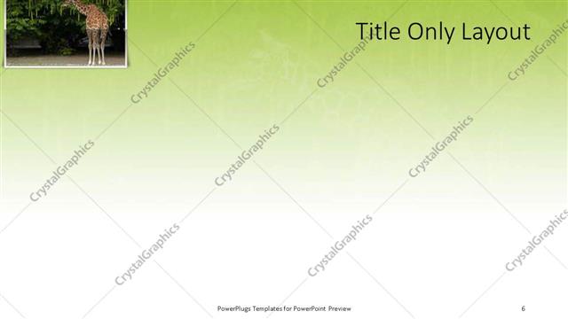 Title Only presentation slide layout