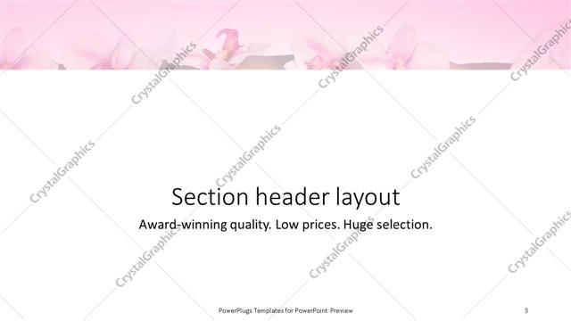 Section Header presentation slide layout