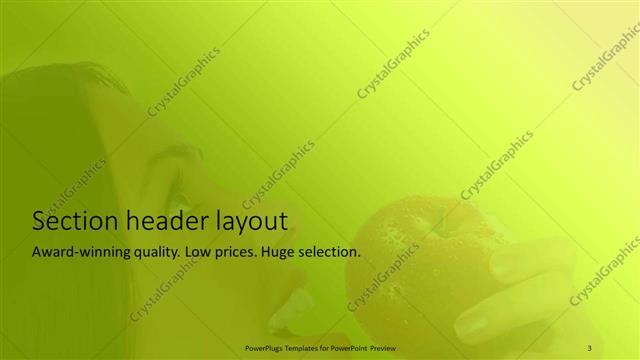 Section Header presentation slide layout