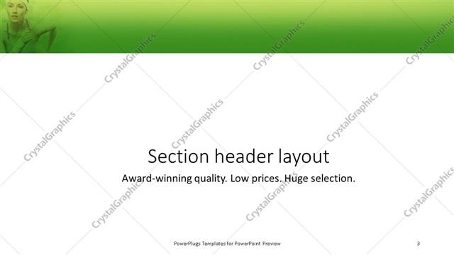 Section Header presentation slide layout